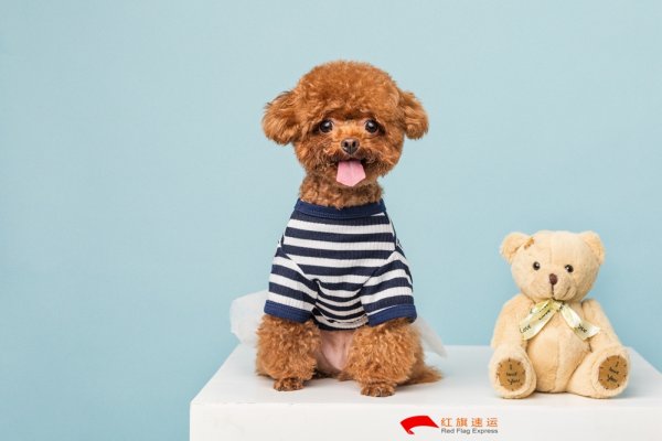 疫情期間香港商品如何轉(zhuǎn)運到湖北隨州呢？